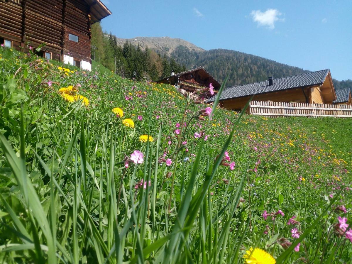 Chalet Niederhaushof Ultimo Εξωτερικό φωτογραφία