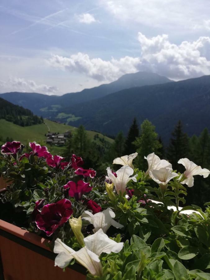 Chalet Niederhaushof Ultimo Εξωτερικό φωτογραφία
