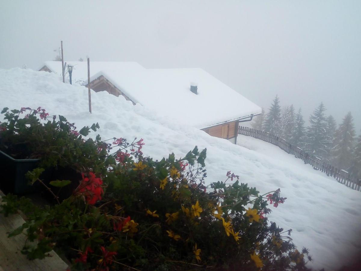 Chalet Niederhaushof Ultimo Εξωτερικό φωτογραφία