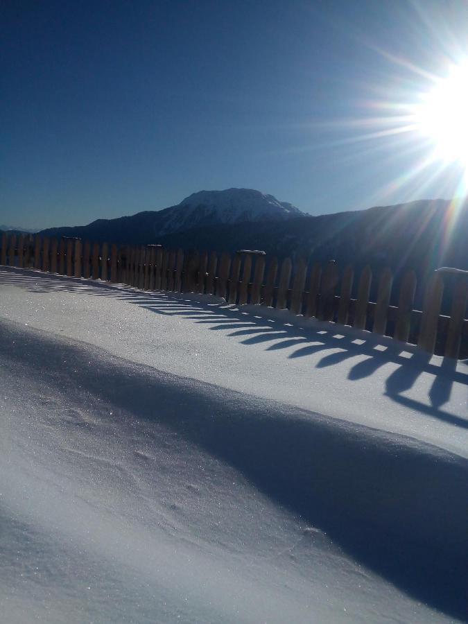 Chalet Niederhaushof Ultimo Εξωτερικό φωτογραφία