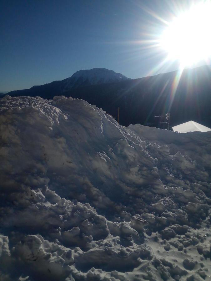 Chalet Niederhaushof Ultimo Εξωτερικό φωτογραφία
