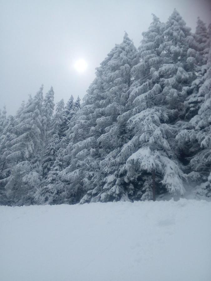 Chalet Niederhaushof Ultimo Εξωτερικό φωτογραφία